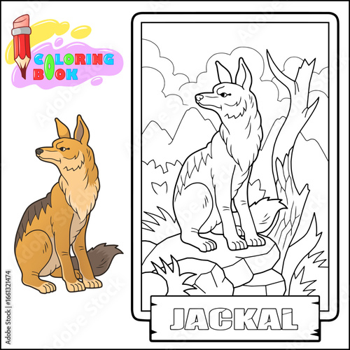 African jackal, outline illustration, coloring page for kids