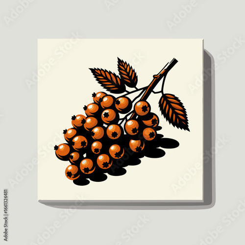 Graphic illustration of orange rowan berries on a branch with dark leaves.