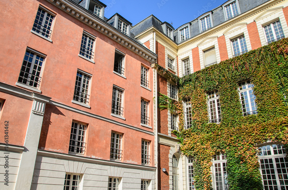 Naklejka premium immeubles anciens typiques de Paris en France