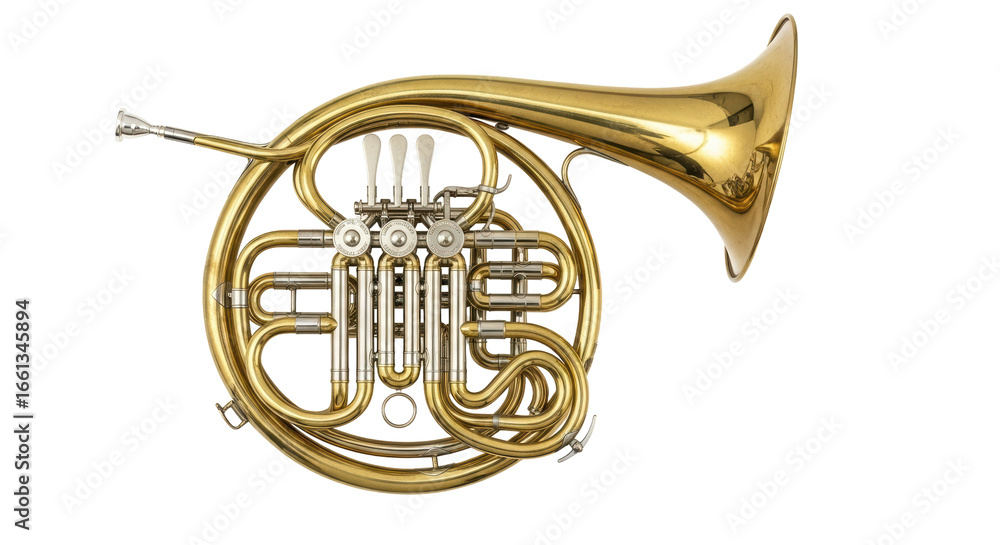 Obraz premium Isolated Golden French Horn