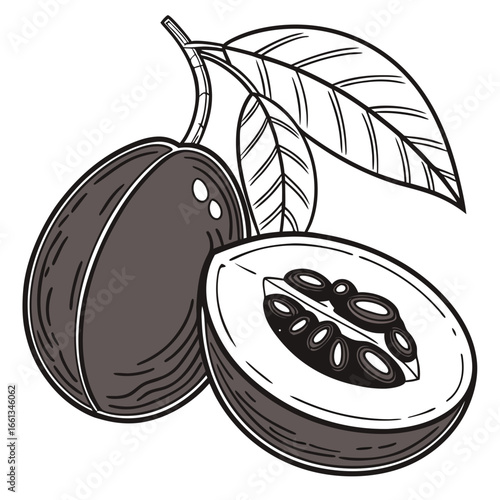 Detailed line art illustration of passion fruit with leaves, showcasing a halved fruit and its seeds, perfect for culinary designs