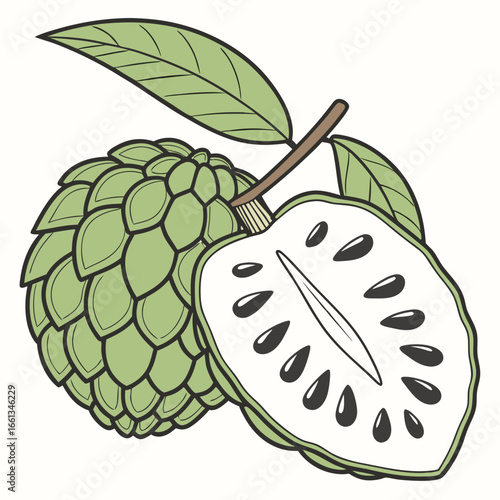 Fresh custard apple illustration featuring a whole fruit and a halved one with leaves on a white backdrop