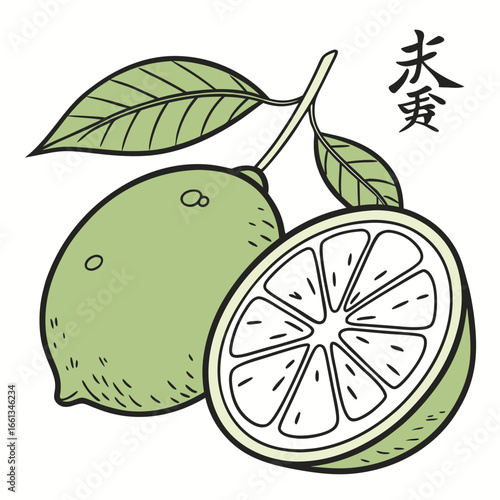 Fresh green limes on a branch with leaves and Chinese character art offering a vibrant and zesty illustration