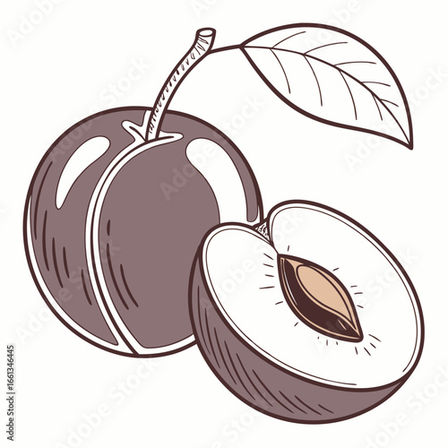 Illustration of a whole plum and a halved plum with a leaf showcasing the fruit's seed and textured skin