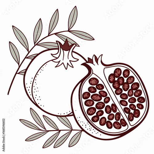 Pomegranate vector illustration with leaves, featuring a halved fruit revealing juicy seeds and a whole pomegranate fruit