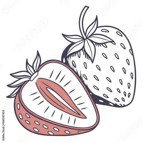 Wholesome strawberry illustration featuring a halved berry and a whole berry with seeds and sepals on a white background