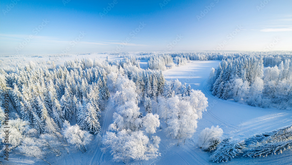 Obraz premium winter landscape with snow covered trees