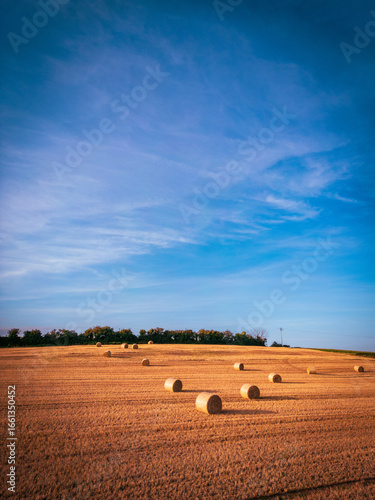 hay bales in the field, Cork, Ireland