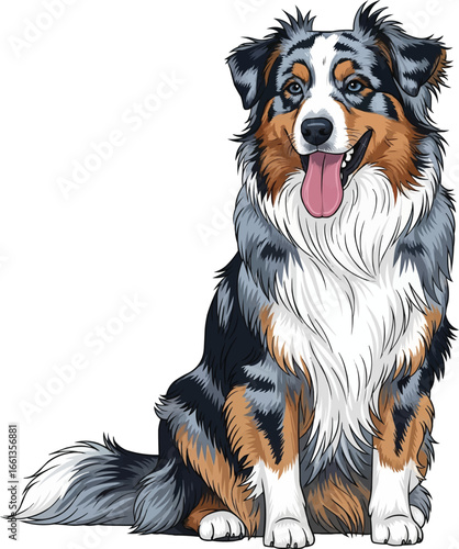 Australian Shepherd dog sitting panting smiling vector illustration