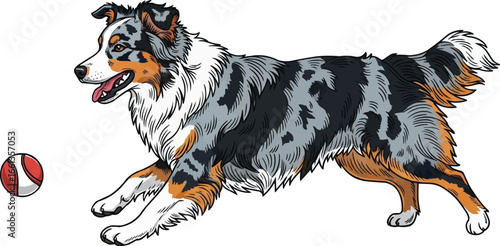 Playful Australian Shepherd dog fetching ball cute vector illustration