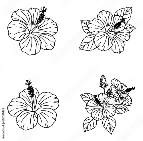 Several hibiscus flower drawings are shown in black outline against a white background, perfect for coloring pages.