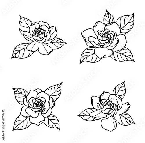 Black and white gardenia flower drawings with leaves feature clean line art, suitable for botanical illustrations, coloring pages, or design elements.