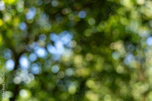 Abstract natural background featuring vibrant green foliage and soft blue sky bokeh circles in daylight.