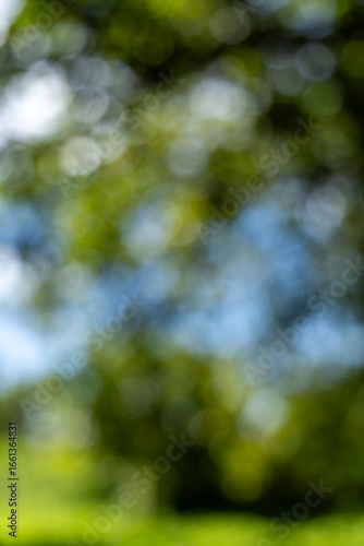 Soft Focus Green Nature Background with Blue Sky Glimpses and Gentle Bokeh Lights