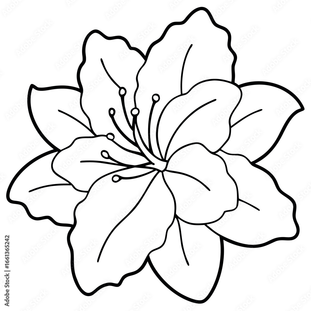 Fototapeta premium Azalea Flower Outline Coloring Page