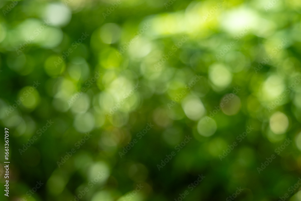 Obraz premium Lush Green Foliage Bokeh Background with Soft Sunlight Sparkle, Creating a Serene Nature Abstract.