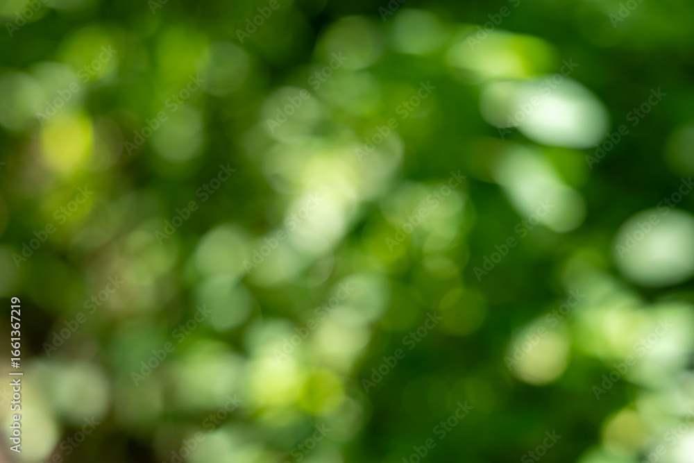 Obraz premium Vibrant Green Bokeh Background with Soft Natural Light, Creating an Abstract and Serene Nature Backdrop