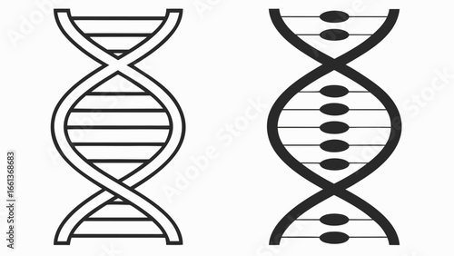 Double helix structures genetic code biology