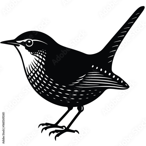 Photos wren vector