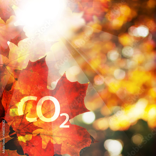 CO2 letters on autumn leaves and bokeh background