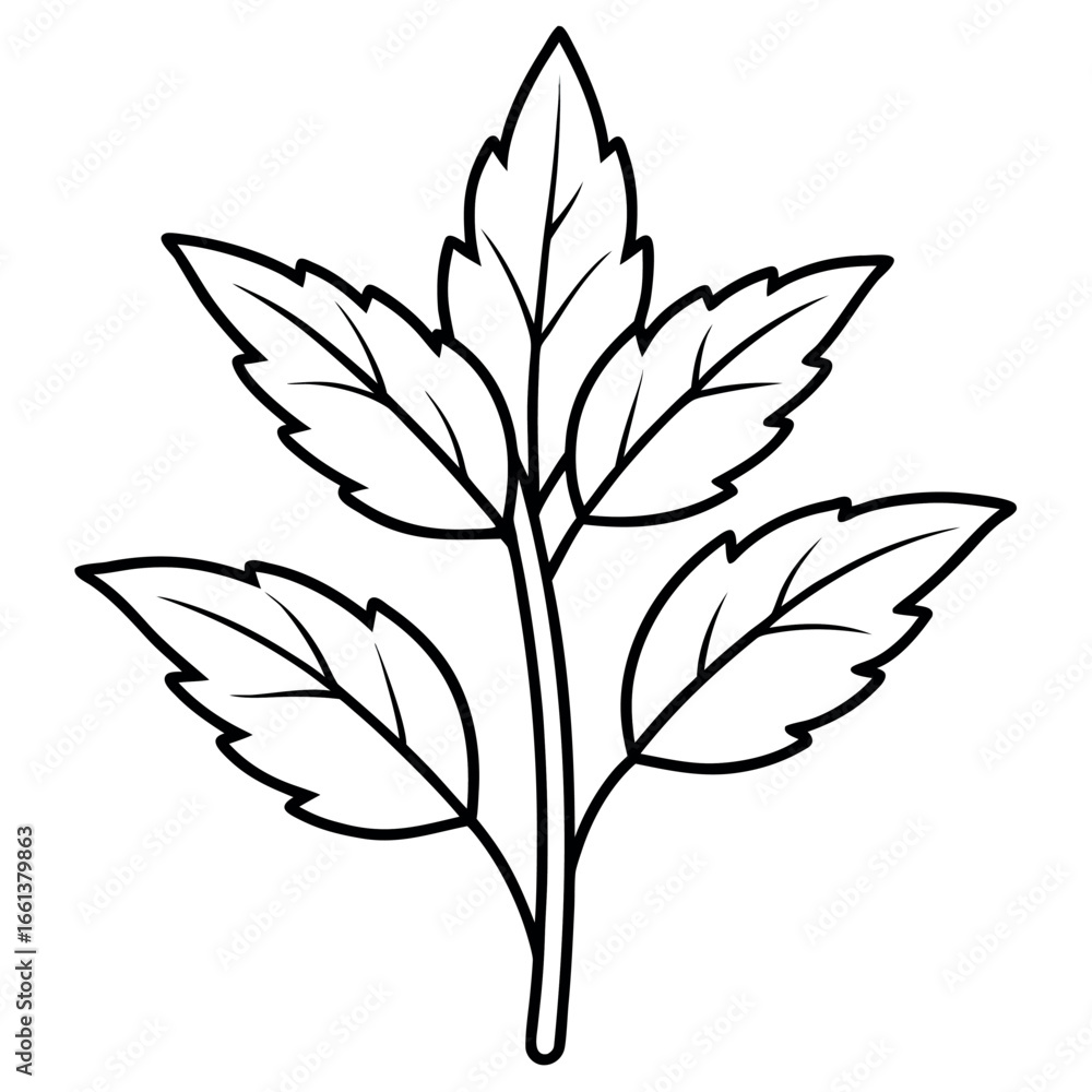 Fototapeta premium Herbal Plant Outline Coloring Page