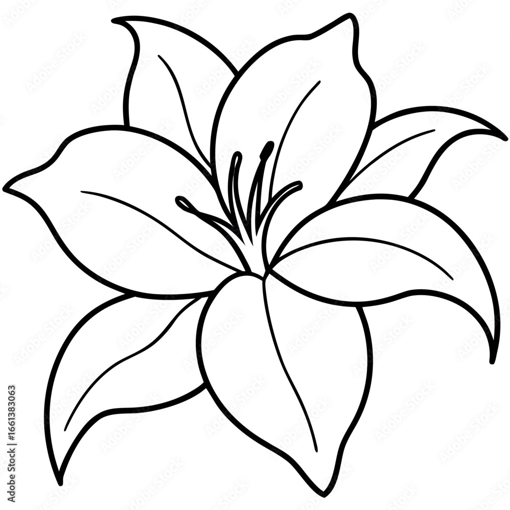 Fototapeta premium Lily Flower Outline Coloring Page