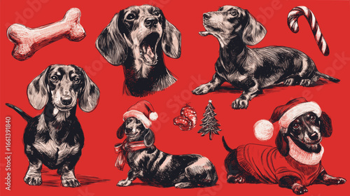 A collection of black and white drawings of dogs wearing Santa hats and Christmas decorations. Scene is festive and cheerful