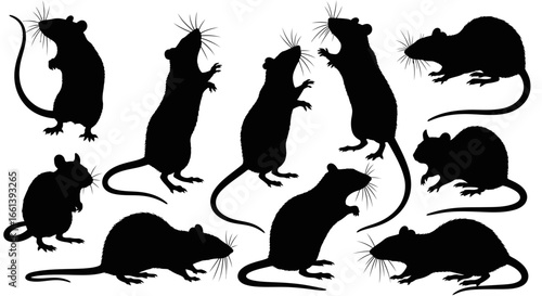 Dynamic black rat silhouettes showcase various poses and movements, perfect for science or pest control concepts.