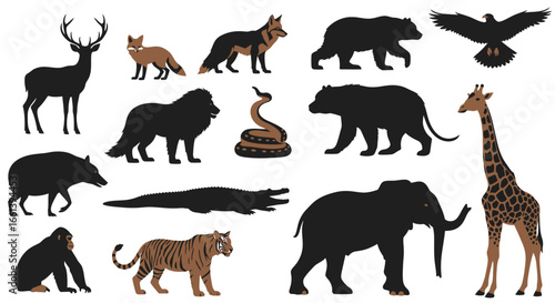 Diverse wildlife collection featuring majestic animals from around the world, great for educational projects