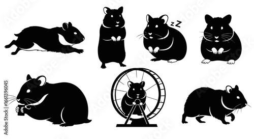Adorable hamster antics in playful poses, perfect for pet product design and cute animal themed projects