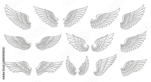 A collection of detailed, illustrated angel wings, presented in various styles and arrangements, all in grayscale.