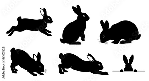 A set of six black silhouette illustrations depicting rabbits in various poses: running, sitting, crouching, and peeking over an edge.
