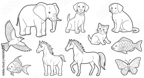 Line art illustration featuring a collection of various animals, including an elephant, dogs, cat, horses, fish, bird, and butterfly.