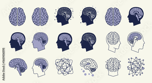 Collection of stylized brain illustrations, showcasing various views and internal structures.