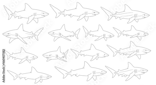 Line drawings of sharks in various swimming positions.