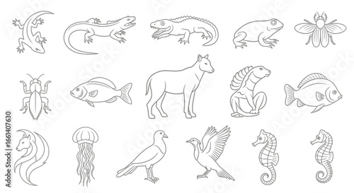 Collection of outline illustrations of various animals and insects.