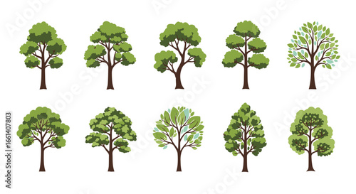 A collection of various stylized green trees, each with unique foliage and trunks, isolated on white.