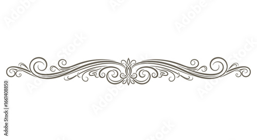 Elegant, decorative, flowing line divider with ornate swirls and floral patterns.