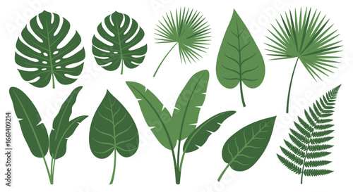 Collection of various tropical green leaves, isolated on white background.