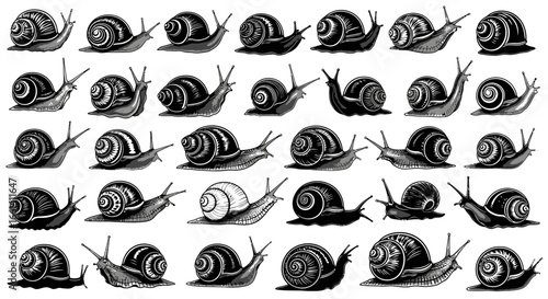 Charming collection of stylized snails in various poses, perfect for nature-themed projects and designs.