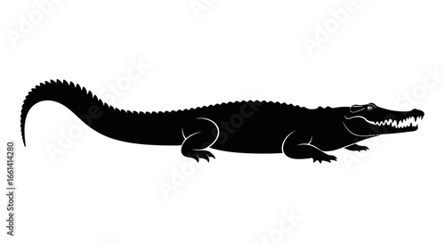 Menacing black crocodile silhouette ready to strike with sharp teeth on clean white backdrop