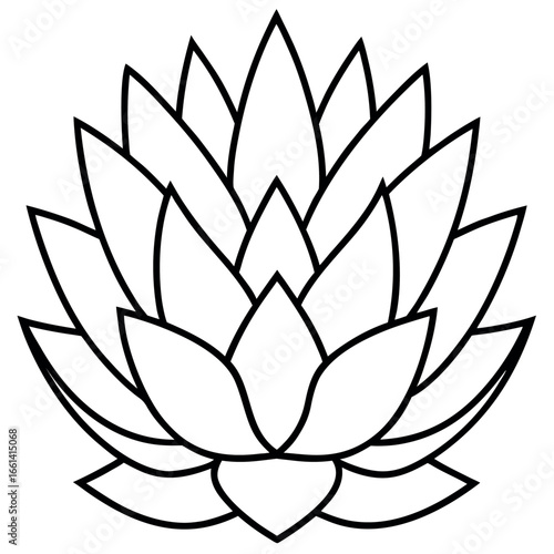 Haworthia Botanical Outline Coloring Page