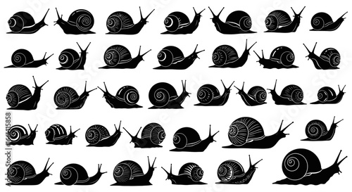 A collection of snail illustrations in various sizes and orientations, depicted in black and white, showcasing different perspectives and shell patterns.
