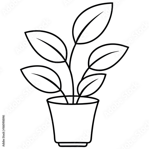 Indoor House Plant Line Art Colouring Page