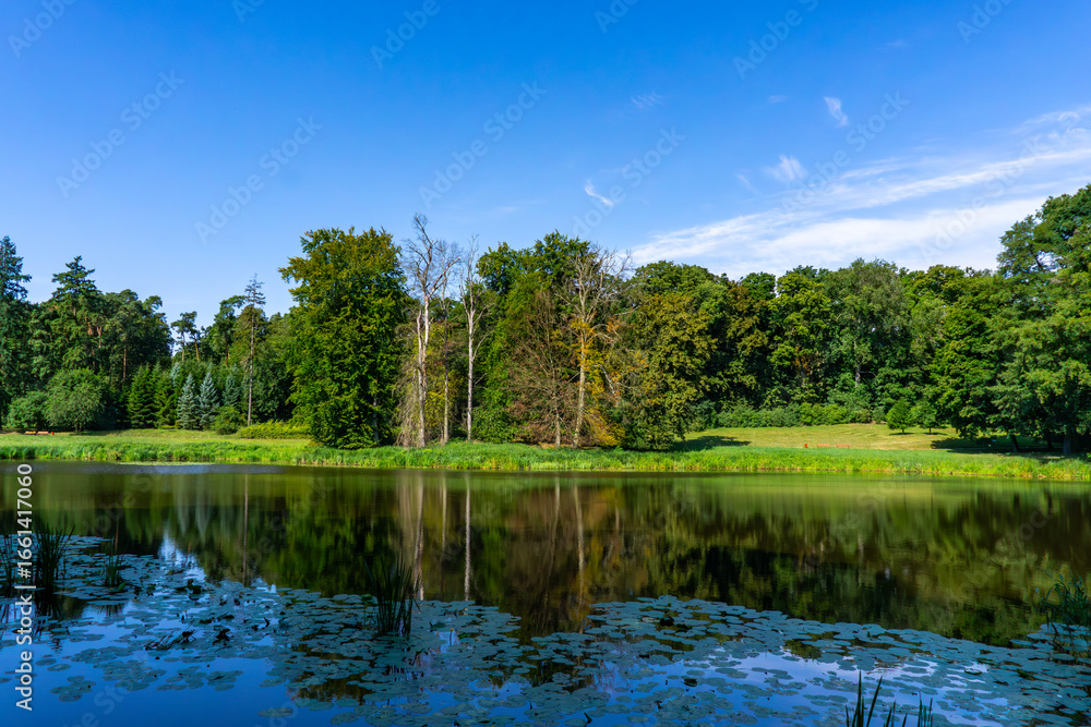Obraz premium Picturesque pond surrounded by trees, calm water surface reflecting the forest, aquatic plants in the foreground, summer natural landscape with blue sky.