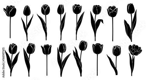 Elegant black tulip silhouettes capture spring's fresh beauty for timeless floral designs