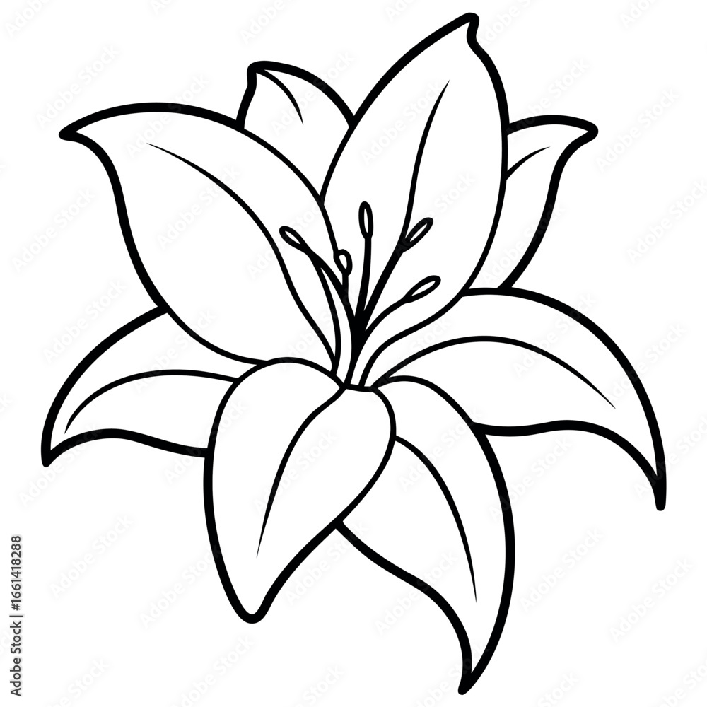 Fototapeta premium Lily Flower Outline Coloring Page