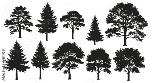 Stunning silhouettes of various trees perfect for design projects and landscape illustrations