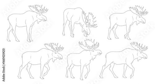 Elegant moose line drawings perfect for nature-themed projects, branding, and educational content creation