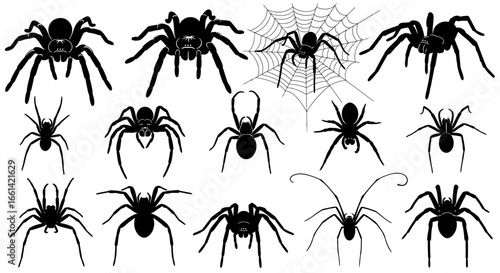 Spooky spider silhouettes for Halloween graphics, creepy crawlies and arachnid designs for your scary season